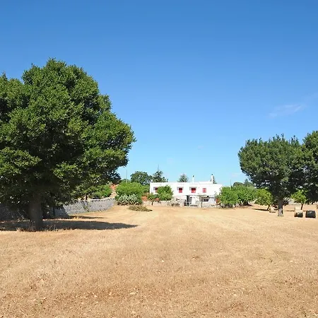 Quercia Verde *
