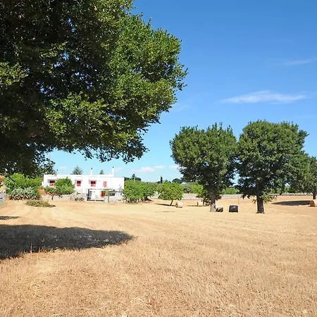 Quercia Verde